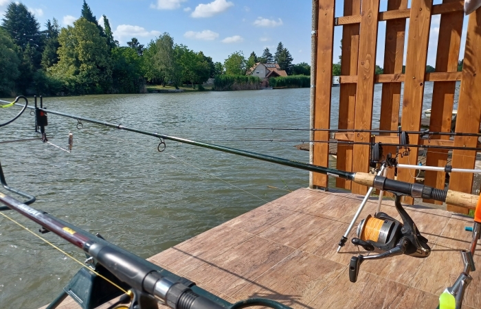 Körösparti Megálló